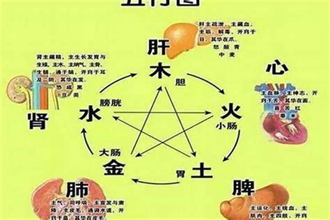 八字忌木 著床頭痛